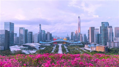 品茶文化的瑰宝